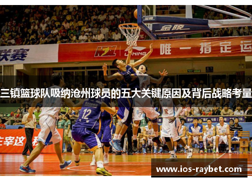三镇篮球队吸纳沧州球员的五大关键原因及背后战略考量
