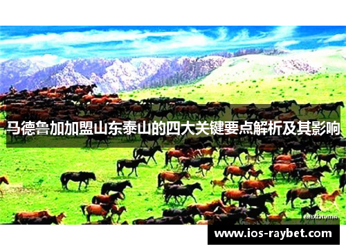 /uploads/images/20250624/ma-de-lu-jia-jia-meng-shan-dong-tai-shan-de-si-da-guan-jian-yao-dian-jie-xi-ji-qi-ying-xiang.webp